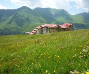 29680544_896182007229470_172902785_o-300x250