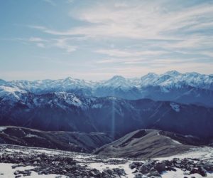 alirika_43914-300x250