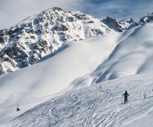 beard_adventure_45-300x250