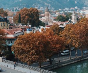 georgialand_45289435_390792188127467_6370506125490301234_n-300x250