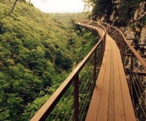 kanon-okace-1-300x250