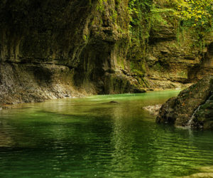 martvilskiy-kanon-2-300x250