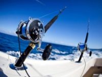 3991_WHrLPsj4J2PLslFFK8V5SieeRE_HDRU8.jpg_730x487-240x160